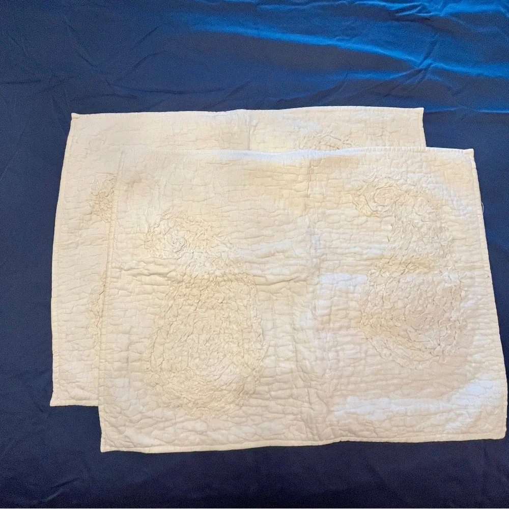 Pottery Barn Off White 3 Pillow Shams